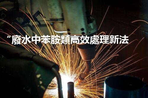 “廢水中苯胺類高效處理新法，環(huán)保先鋒引領(lǐng)綠色以后”